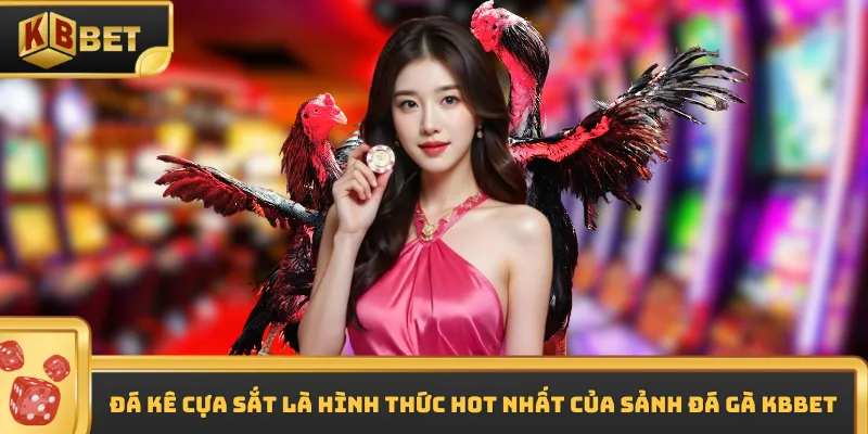 Đá kê cựa sắt là hình thức hot nhất của sảnh đá gà KBBET