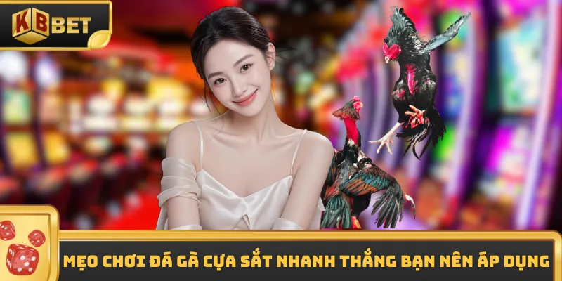 Mẹo chơi đá gà cựa sắt nhanh thắng bạn nên áp dụng