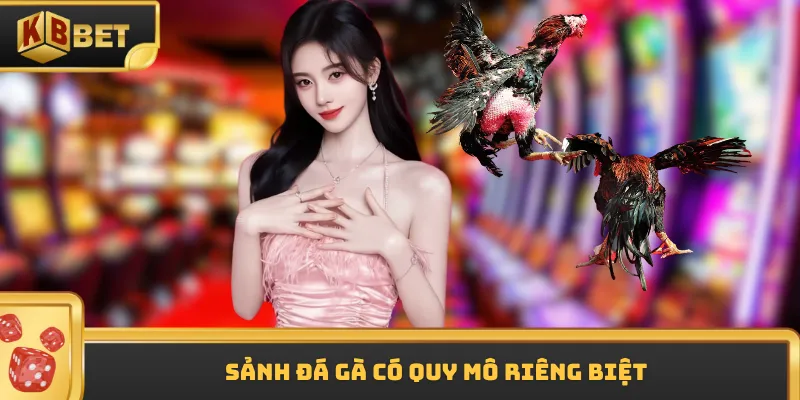 Sảnh đá gà có quy mô riêng biệt