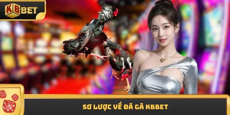 Sơ lược về đá gà KBBET